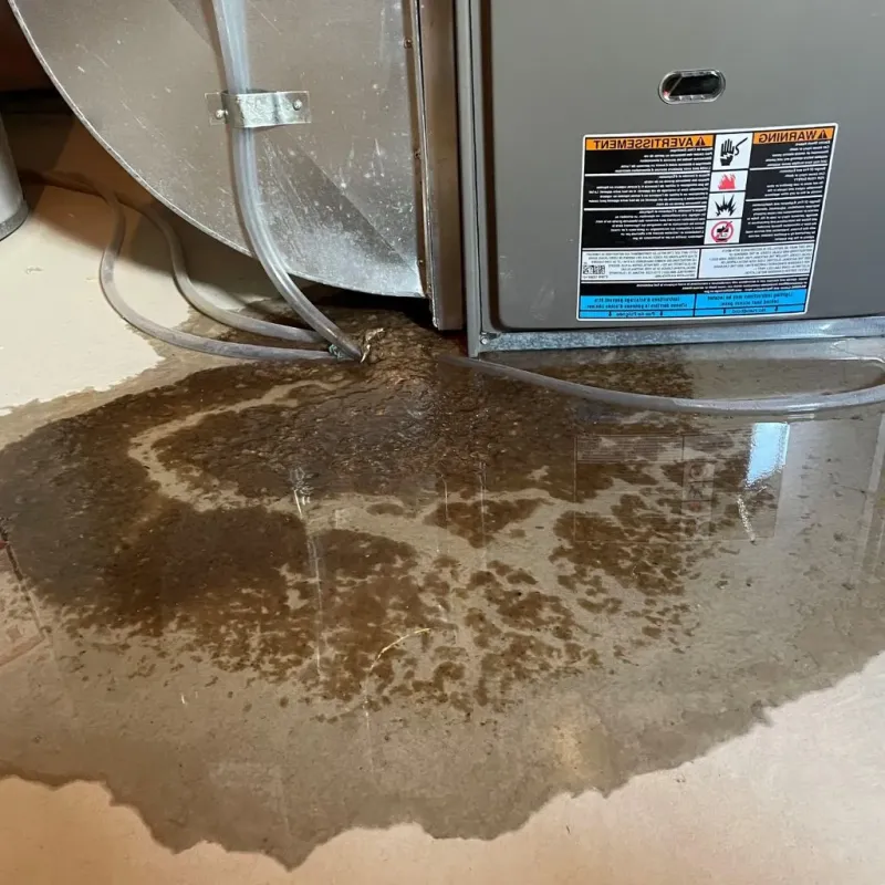 Pipe Burst and Leak Restoration in South Coatesville, PA